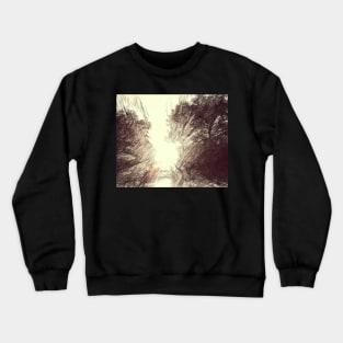 Enchanted Forest Light Illustration Crewneck Sweatshirt